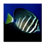  Black white fish ceramic wall tile / Tile Coaster / Tile trivet