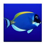 Blue fish ceramic wall tile / Tile Coaster / Tile trivet