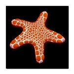 Star fish ceramic wall tile / Tile Coaster / Tile trivet