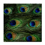 Peacock feather ceramic wall tile / Tile Coaster / Tile trivet