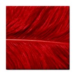 Red feather ceramic wall tile / Tile Coaster / Tile trivet