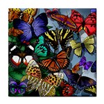 Color butterflies 2 ceramic wall tile / Tile Coaster / Tile trivet