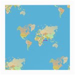 globe Map Medium Glasses Cloth