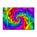 Psychedelic Rainbow Spiral Sticker A4 (10 pack)