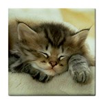 Sleepy kitten ceramic wall tile / Tile Coaster / Tile trivet