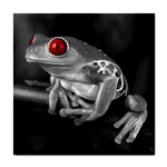 Black & white frog ceramic wall tile / Tile Coaster / Tile trivet