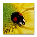 Ladybird ceramic wall tile / Tile Coaster / Tile trivet