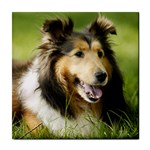 Collie ceramic wall tile / Tile Coaster / Tile trivet