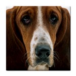 Basset hound ceramic wall tile / Tile Coaster / Tile trivet