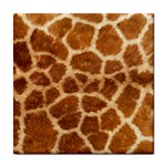 Animal print ceramic wall tile / Tile Coaster / Tile trivet