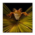 Frog ceramic wall tile / Tile Coaster / Tile trivet