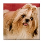 Shih Tzu ceramic wall tile / Tile Coaster / Tile trivet