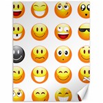 Smilies Emoji Canvas 12  x 16 