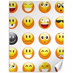 Smilies Emoji Canvas 18  x 24 