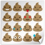 poop Emoji Canvas 12  x 12 