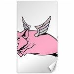 Flying Pig Canvas 40  x 72 