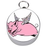 Flying Pig Silver Compass