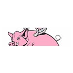 Flying Pig Satin Scarf (Oblong)