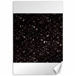 black white Stars Canvas 20  x 30 