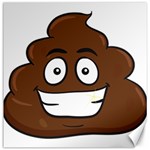 Emoji Poop Canvas 16  x 16 