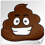 Emoji Poop Canvas 20  x 20 