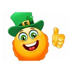 St patricks Emoji  Double Sided Flano Blanket (Mini)