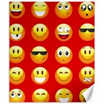 Red Emoji Canvas 20  x 24 