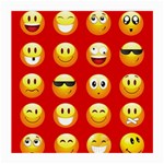 Red Emoji Medium Glasses Cloth