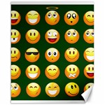 hunter green Emoji Canvas 16  x 20 