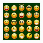 hunter green Emoji Medium Glasses Cloth