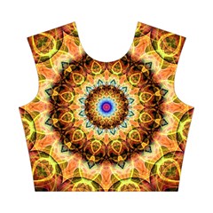 Ochre Burnt Glass Cotton Crop Top from ArtsNow.com Front