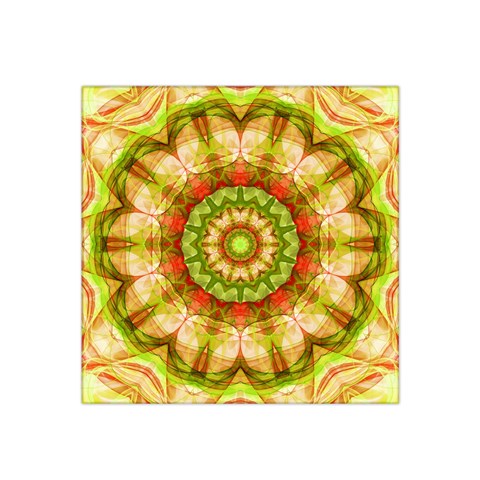 Red Green Apples Mandala Satin Bandana Scarf from ArtsNow.com Front