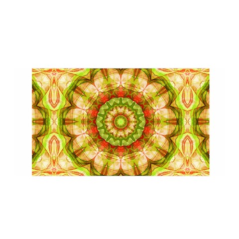 Red Green Apples Mandala Satin Wrap from ArtsNow.com Front