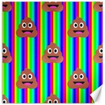 rainbow poo Emoji  Canvas 20  x 20 