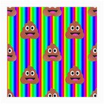 rainbow poo Emoji  Medium Glasses Cloth