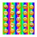 Rainbow emojis Medium Glasses Cloth