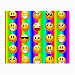 Rainbow emojis Small Glasses Cloth