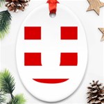 Donald Trump flag Ornament (Oval)