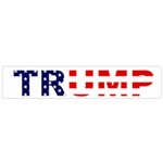 Donald Trump flag Flano Scarf (Small)