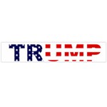 Donald Trump flag Flano Scarf (Large)