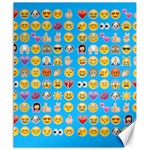 teal Emoji Canvas 20  x 24 