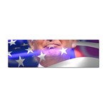 Donald Trump flag Sticker Bumper (10 pack)