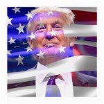 Donald Trump flag Medium Glasses Cloth