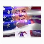 Donald Trump flag Small Glasses Cloth (2 Sides)