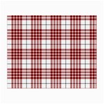 Buchanan Tartan Small Glasses Cloth (2 Sides)