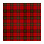 Clan Steward Tartan Medium Glasses Cloth