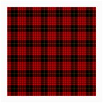 MacQueen Tartan Medium Glasses Cloth