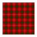 Prince of Rothesay Tartan Medium Glasses Cloth (2 Sides)