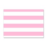 Horizontal Stripes - White and Cotton Candy Pink Sticker A4 (100 pack)