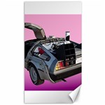 Delorean Canvas 40  x 72 